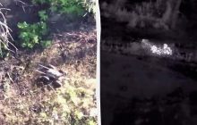 "Сюрпризы" в посадках: ВСУ нашли новый способ дистанционно уничтожать оккупантов (видео)