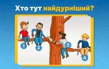 Кто здесь самый глупый: тест-головоломка расскажет о вашей личности