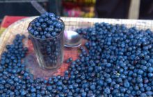 Ціни на лохину наприкінці сезону летять вниз: скільки коштує ягода в Україні