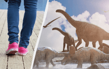 В Британии 10-летняя девочка случайно нашла следы динозавров, которым более 200 млн лет