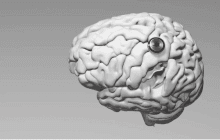 Neuralink показала, как второй пациент с мозговым чипом играет в CS2 "силой мысли"