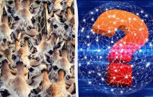 Усі бачать жирафів, а треба знайти невиховану козу за 8 секунд: непроста головоломка