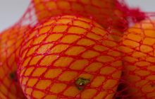 Почему апельсины продают в красных сетчатых пакетах: исследователь раскрыл истинную причину