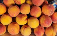 Будут спелыми и вкусными: эксперты раскрыли самый быстрый способ созревания персиков