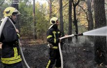 Сбили все, что летело: стало известно, как Киев отбивался от комбинированной атаки (видео)