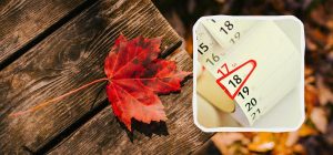 Выходные и праздники в сентябре 2024: что отмечаем и сколько дней отдыхаем