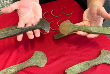 В Чехии нашли артефакты бронзового века, которые могут стоить миллионы крон