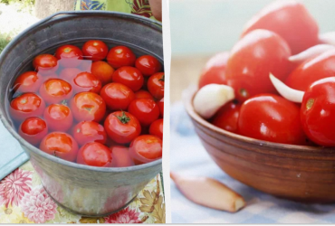 Шикарные квашеные помидоры в ведре: будут готовы через 4 дня
