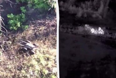 Сюрпризи у посадках: ЗСУ знайшли новий спосіб дистанційно нищити окупантів (відео)