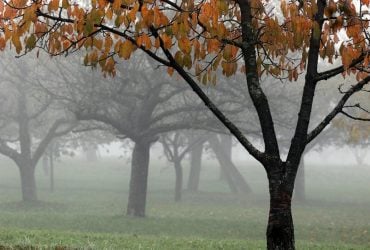 В Одесі терміново оголосили І рівень небезпеки: що відбувається