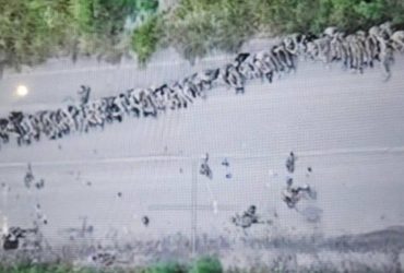 Четыре бойца СОУ взяли в плен более 40 российских солдат в Курской области, - паблики (фото, видео)