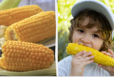 Без воды и кастрюли: лайфхак, как сварить кукурузу за 5 минут