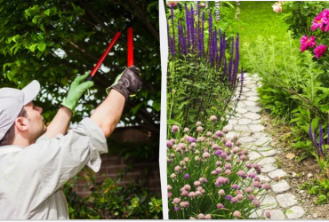 Ці рослини потрібно обрізати в серпні для буйного росту: порадують наступного року
