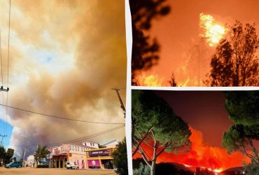 Люди тікають від лісової пожежі біля Афін, вогонь охопив житлові будинки (фото, відео)