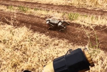 Українські військові відправляють у розвідку робособаку (фото, відео)