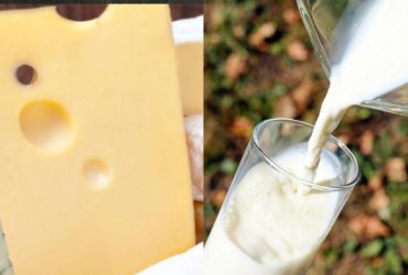 6 молочных продуктов с самым низким содержанием сахара: что добавить в рацион