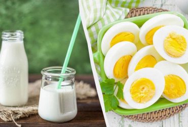 Способствуют похудению: диетологи назвали 4 самых полезных белка для организма