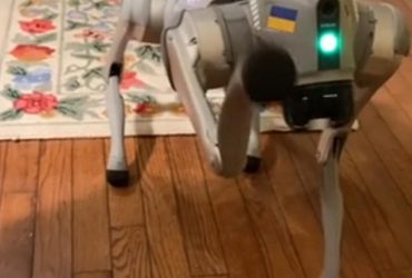 Атака дронів: Фагот показав собаку, який кошмарить російських окупантів (відео)