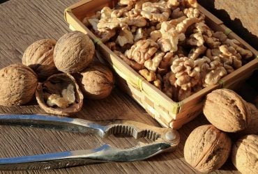 Як уповільнити старіння: дієтологи назвали горіх, який найкраще для цього підходить