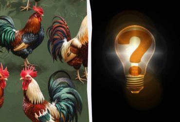 Який півень спить: напрочуд цікава оптична ілюзія на 7 секунд