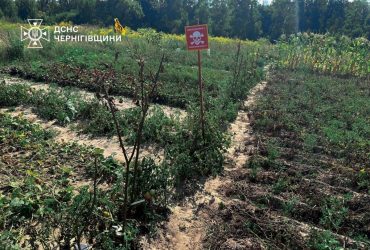 Саперы в шоке: на Черниговщине заметили заминированные помидоры (фото, видео)