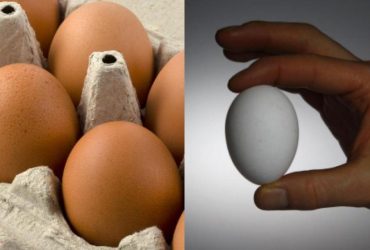 Быстрее портятся: очень часто яйца в холодильнике хранят неправильно