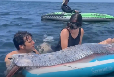 В Тихом океане ученые нашли редкую рыбу, которая имеет мифическую репутацию