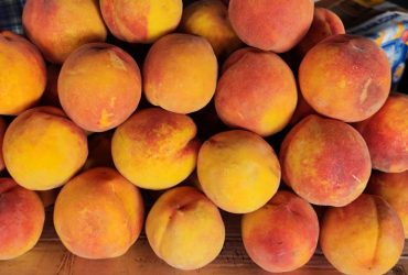 Будуть стиглими та смачними: експерти розкрили найшвидший спосіб дозрівання персиків
