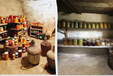 Сухий льох без вологості, цвілі та грибка: 5 способів на будь-який гаманець