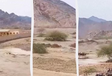 В Судане прорвало плотину: 20 деревень смыло водой (видео)