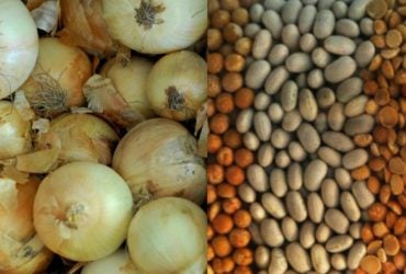 Після картоплі потрібно садити тільки ці культури: три варіанти