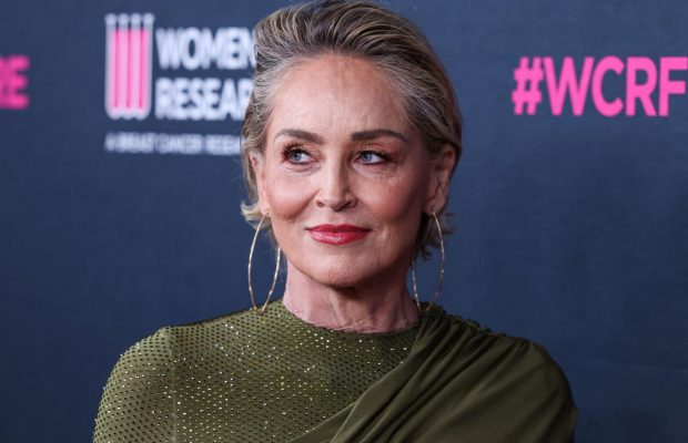 "Я в захваті": Шерон Стоун публічно підтримала українського художника (відео)