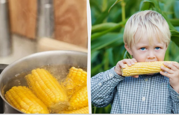 Буквально на кончике ножа: что добавить в кастрюлю при варке кукурузы для мягкости
