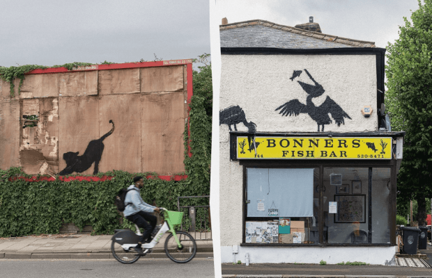 Рисунки животных от Бэнкси в Лондоне: раскрыто значение новых работ уличного художника