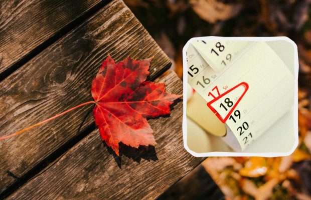 Выходные и праздники в сентябре 2024: что отмечаем и сколько дней отдыхаем