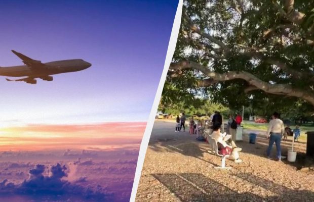 Назван один из самых маленьких аэропортов мира, где пассажиры ждут под манговым деревом
