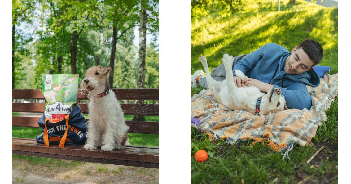 Корми для активних собак: Клуб 4 Лапи Актив + Пулер (Club 4 Paws Active + PULLER) Корми для активних собак: Клуб 4 Лапи Актив + Пулер (Club 4 Paws Active + PULLER)