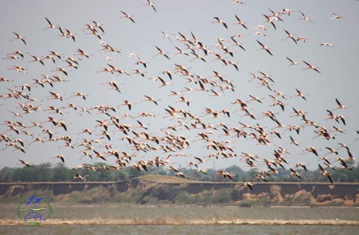 фото фейсбук Иван Русев