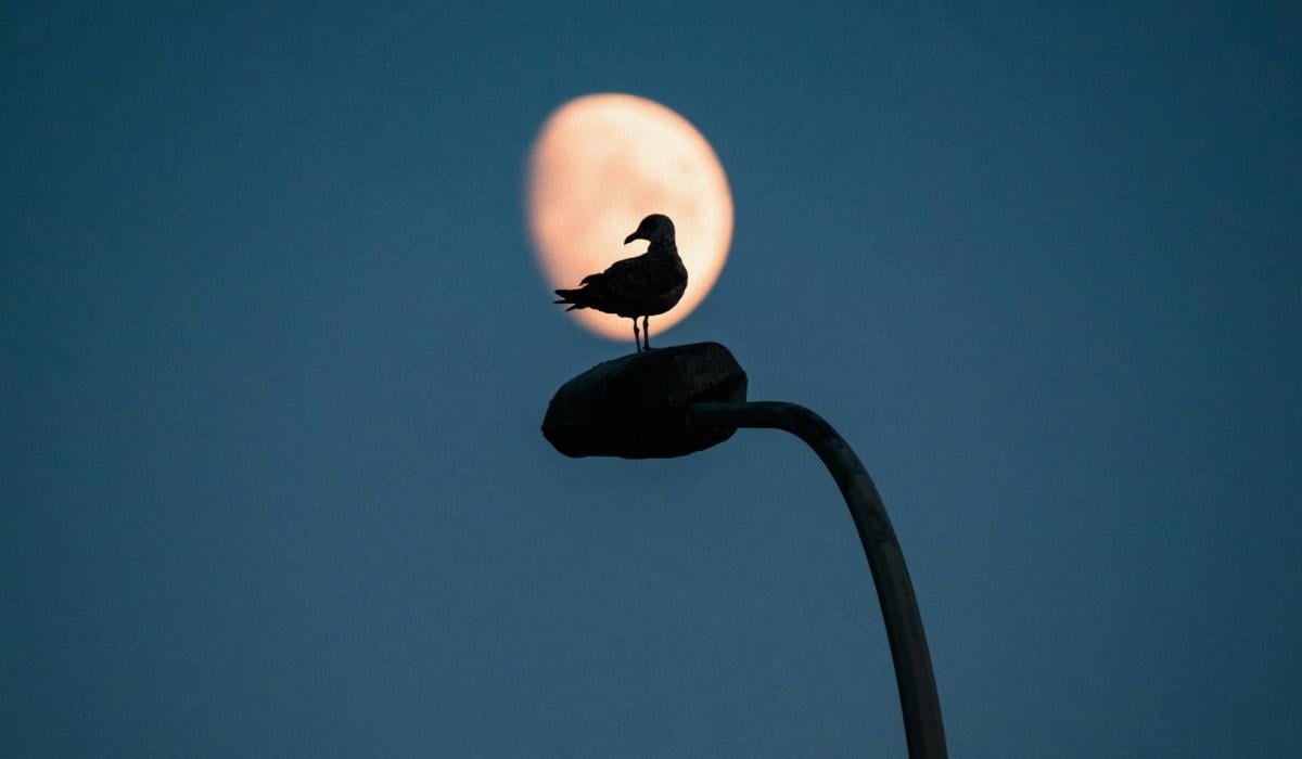 Лунный календарь в марте 2026