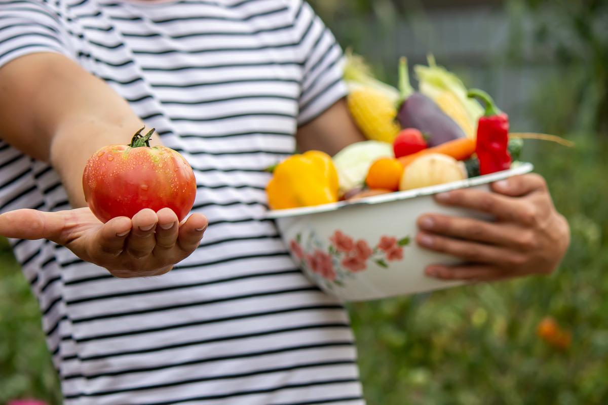 Как экономить на продуктах: эксперты назвали 7 овощей, которые дешевле вырастить, чем купить