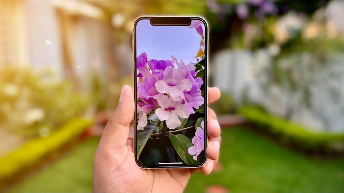iPhone 12 Mini та iPhone SE 2 подобається користувачам більше за інші айфони / Скріншот з ютубу iPhone 12 Mini та iPhone SE 2 подобається користувачам більше за інші айфони / Скріншот з ютубу