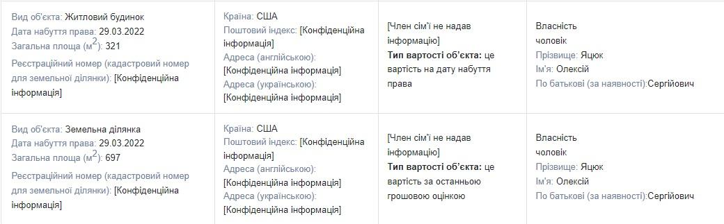 Покупки чоловіка Устінової у США в декларації, скріншот: public.nazk.gov.ua