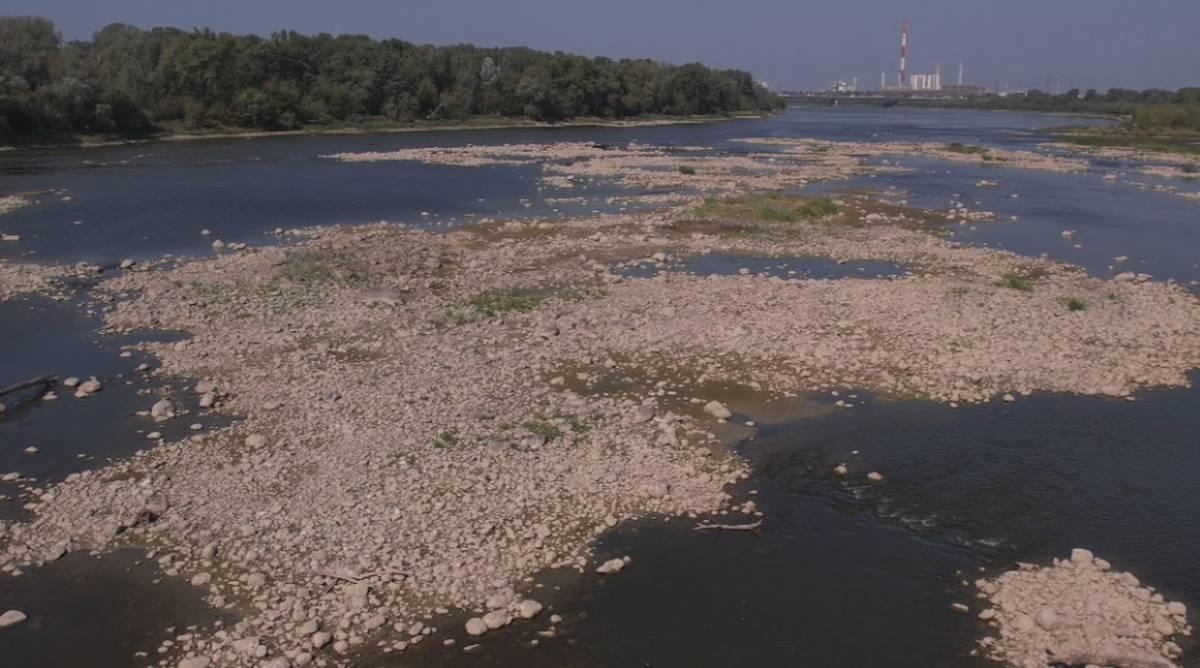 Зазвичай глибина Вісли у Варшаві становить 105-250 см, але цього року вона рекордно обміліла / фото polsatnews.pl Зазвичай глибина Вісли у Варшаві становить 105-250 см, але цього року вона рекордно обміліла / фото polsatnews.pl