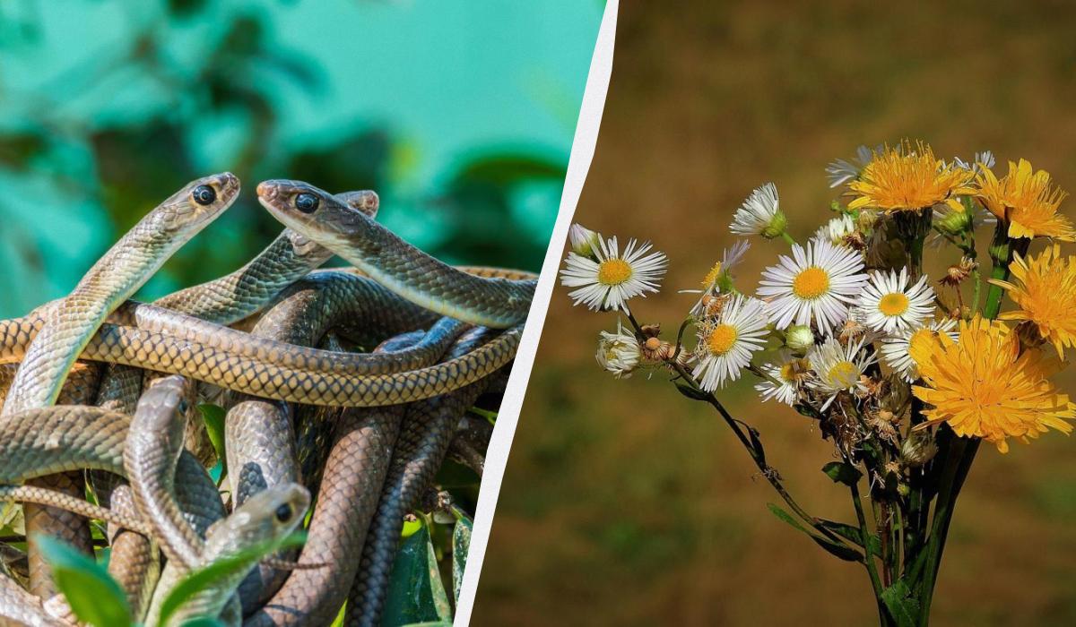 Какой сегодня праздник 12 сентября / коллаж УНИАН, фото ua.depositphotos.com, pixabay Какой сегодня праздник 12 сентября / коллаж УНИАН, фото ua.depositphotos.com, pixabay