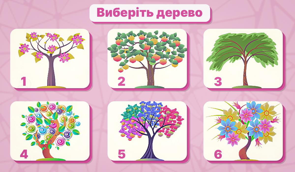 Выберите одно дерево - тест на тип личности / коллаж УНИАН Выберите одно дерево - тест на тип личности / коллаж УНИАН