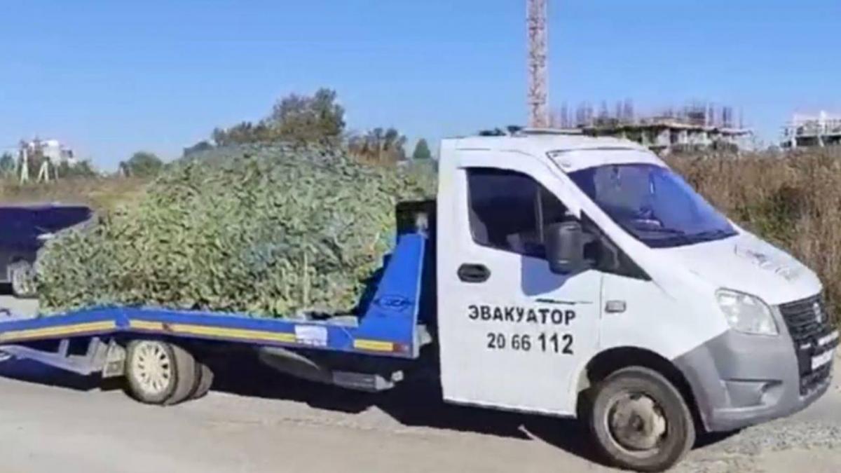 Пошкоджень зазнала автомобільна техніка російських злочинців / фото Телеграм-канал ГУР