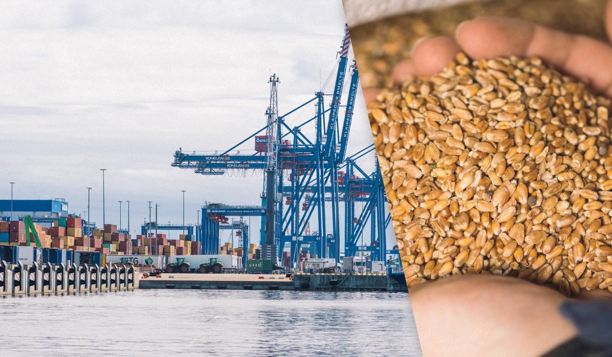 Уколлаж УНІАН фото ua.depositphotos.com