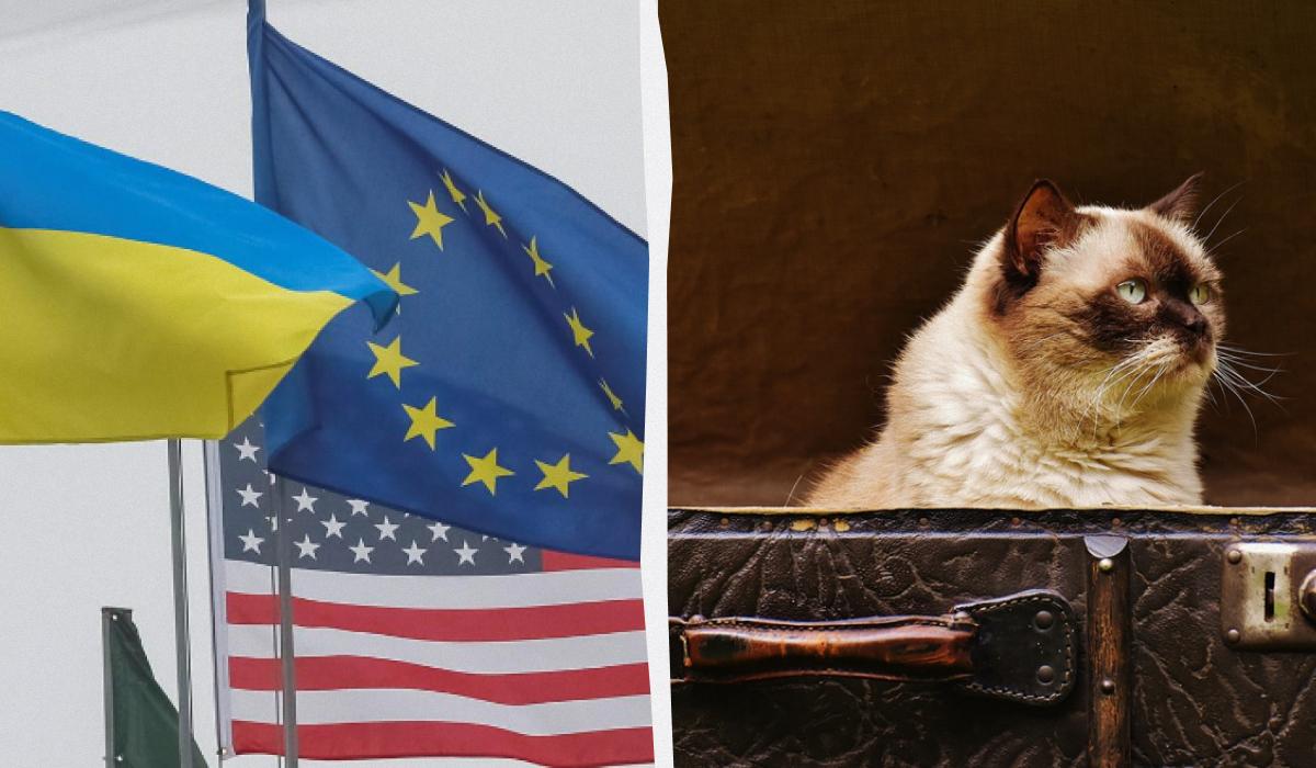Соціологи дізналися, скільки українців не проти переїхати на Захід / колаж з фото REUTERS та pixabay.com Соціологи дізналися, скільки українців не проти переїхати на Захід / колаж з фото REUTERS та pixabay.com
