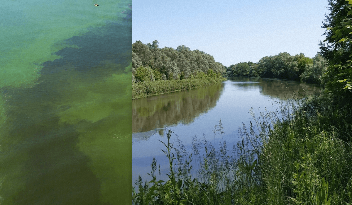 The Ministry of Environment spoke about water quality in the Diet / UNIAN collage, photo ua.depositphotos.com, Wikipedia