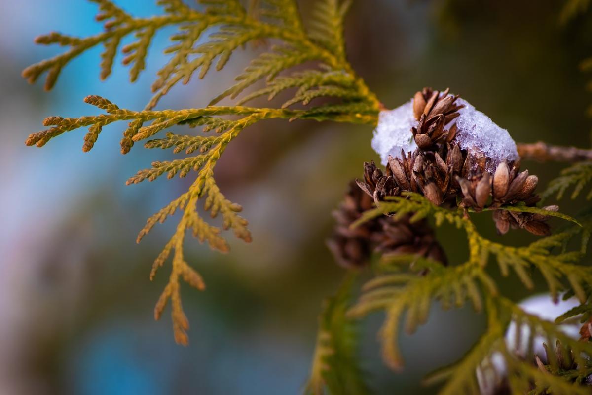 Прикмети на сьогодні